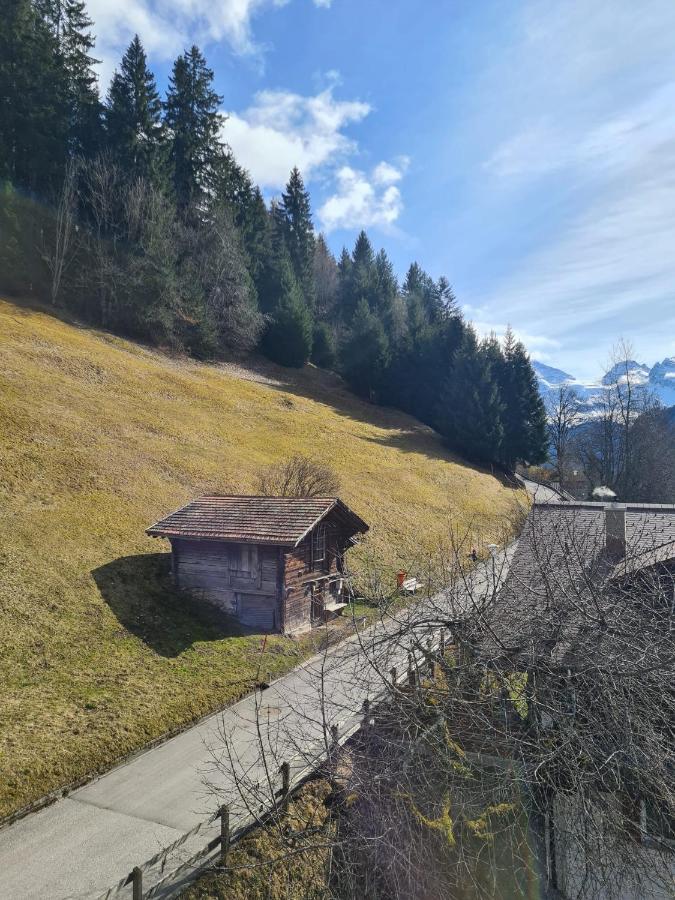 Traditional Chalet In Wengen - Top Floor Lägenhet Exteriör bild