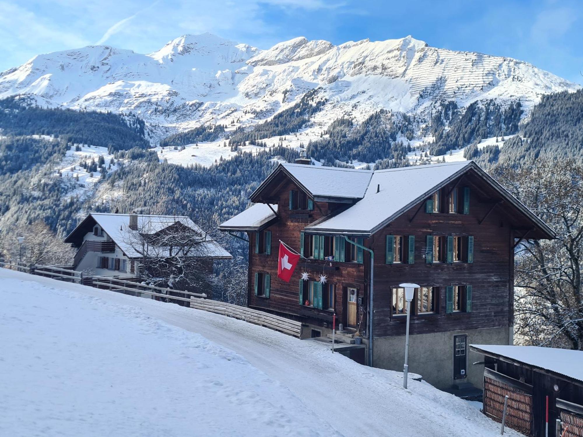 Traditional Chalet In Wengen - Top Floor Lägenhet Exteriör bild